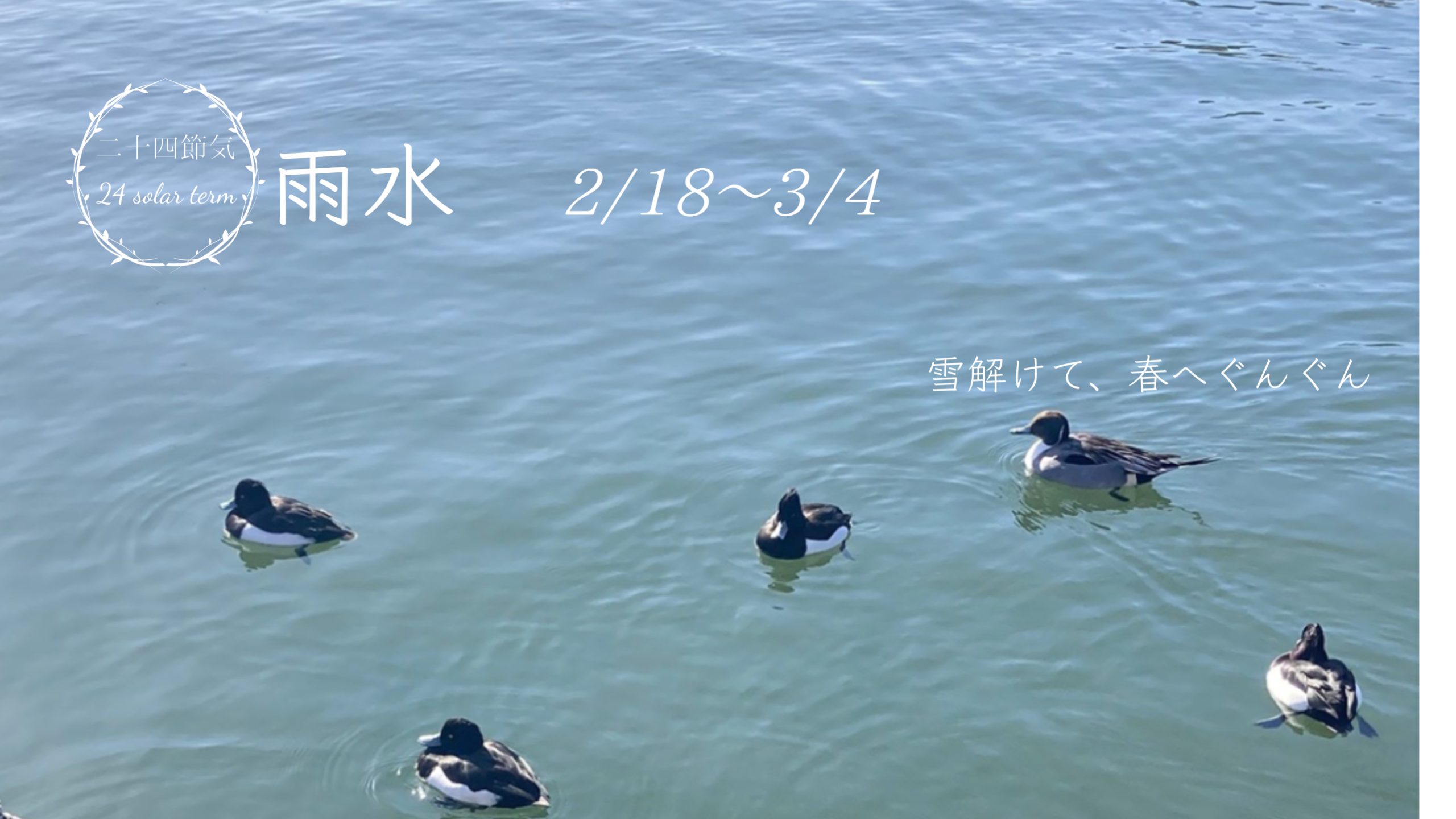 いとよし
