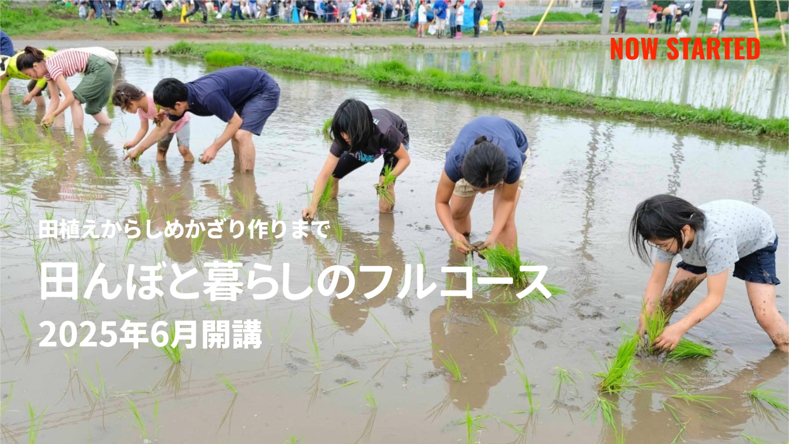 いとよし