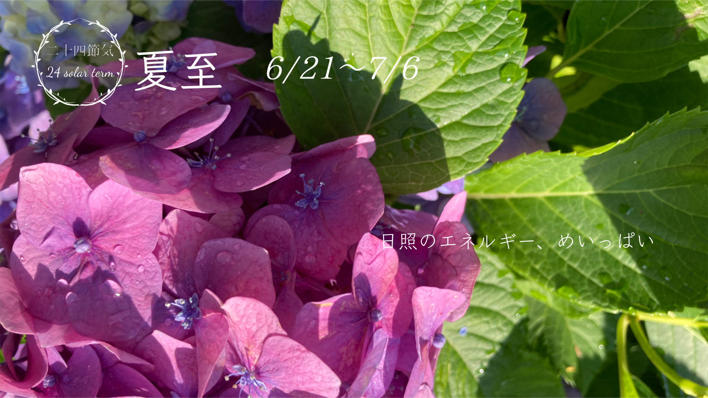 いとよし
