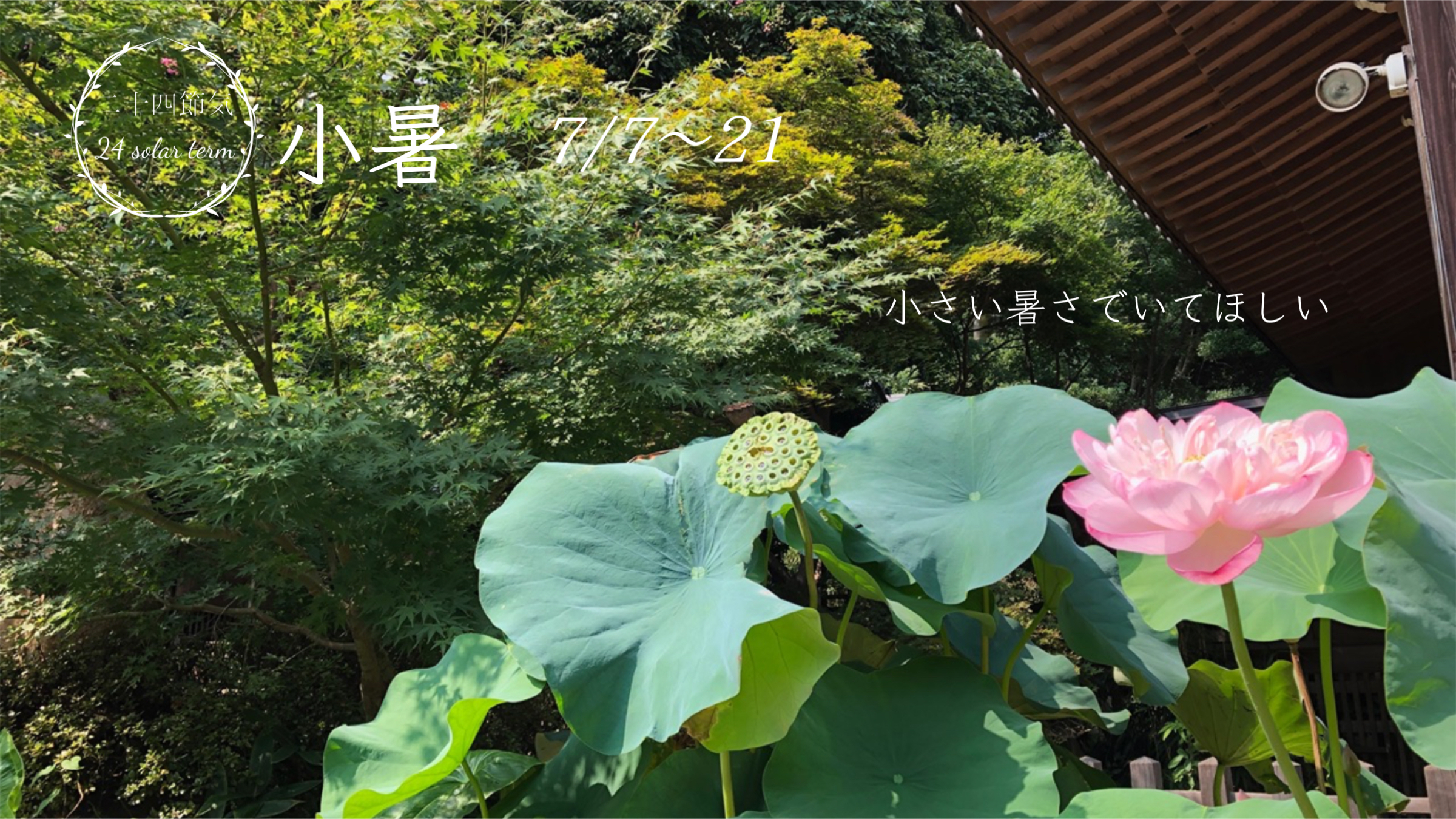 いとよし