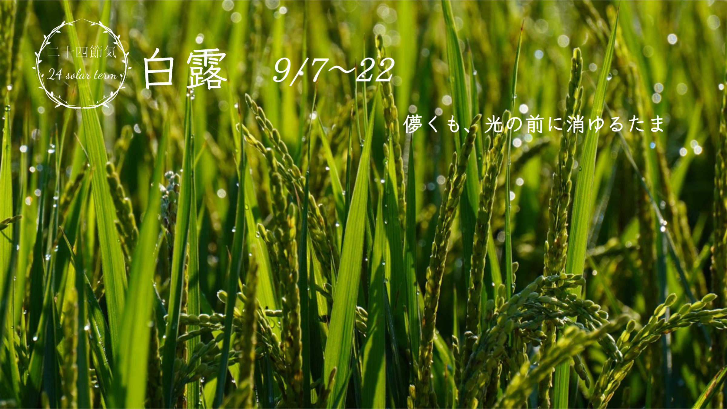 いとよし
